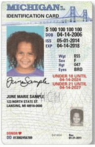 Sample Michigan State ID for children